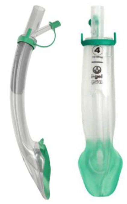 Extraglottischer Atemweg – i-gel®